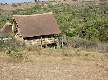 Kasenyi Safari Camp: Gästechalet oberhalb des Euphorbienwaldes