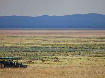 Katavi Wildlife Camp: Game Drive