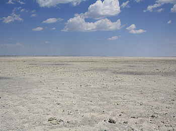 Nata Bird Sanctuary: Salzpfanne Nata Bird Sanctuary: Salzpfanne