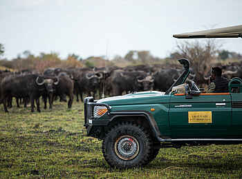 Okavango Explorers Camp: Auf Pirschfahrt Okavango Explorers Camp: Auf Pirschfahrt