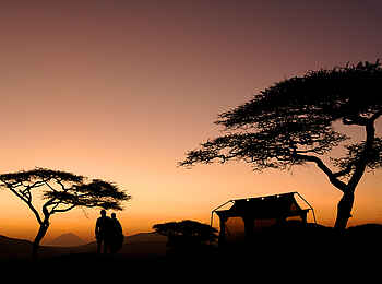 Oliver's Camp: Fly Camp bei Sonnenaufgang Oliver's Camp: Fly Camp bei Sonnenaufgang