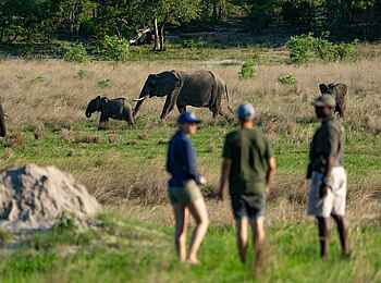 Sable Valley Lodge: Walking Safari Sable Valley Lodge: Walking Safari