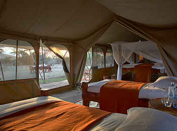 Saruni Wild: Familienzelt Saruni Wild: Familienzelt