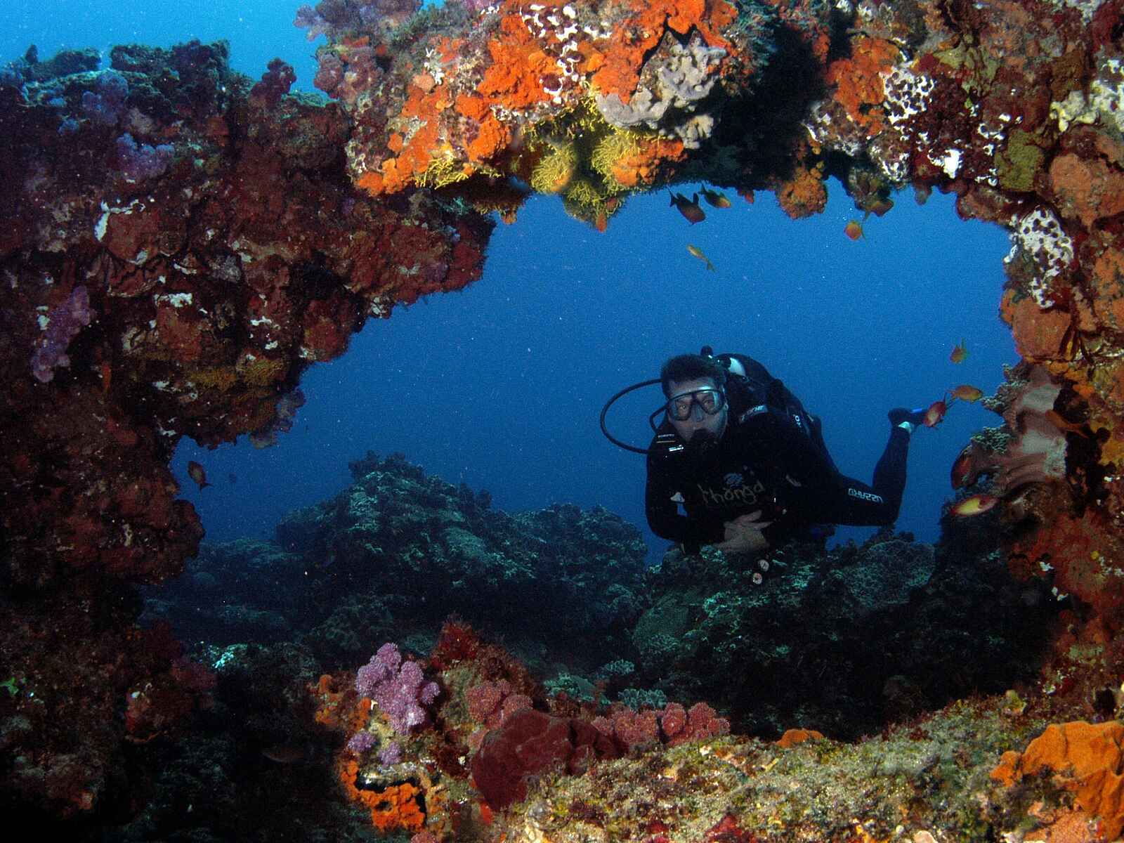 Thonga Beach Lodge: Tauchparadies Thonga Beach Lodge: Tauchparadies