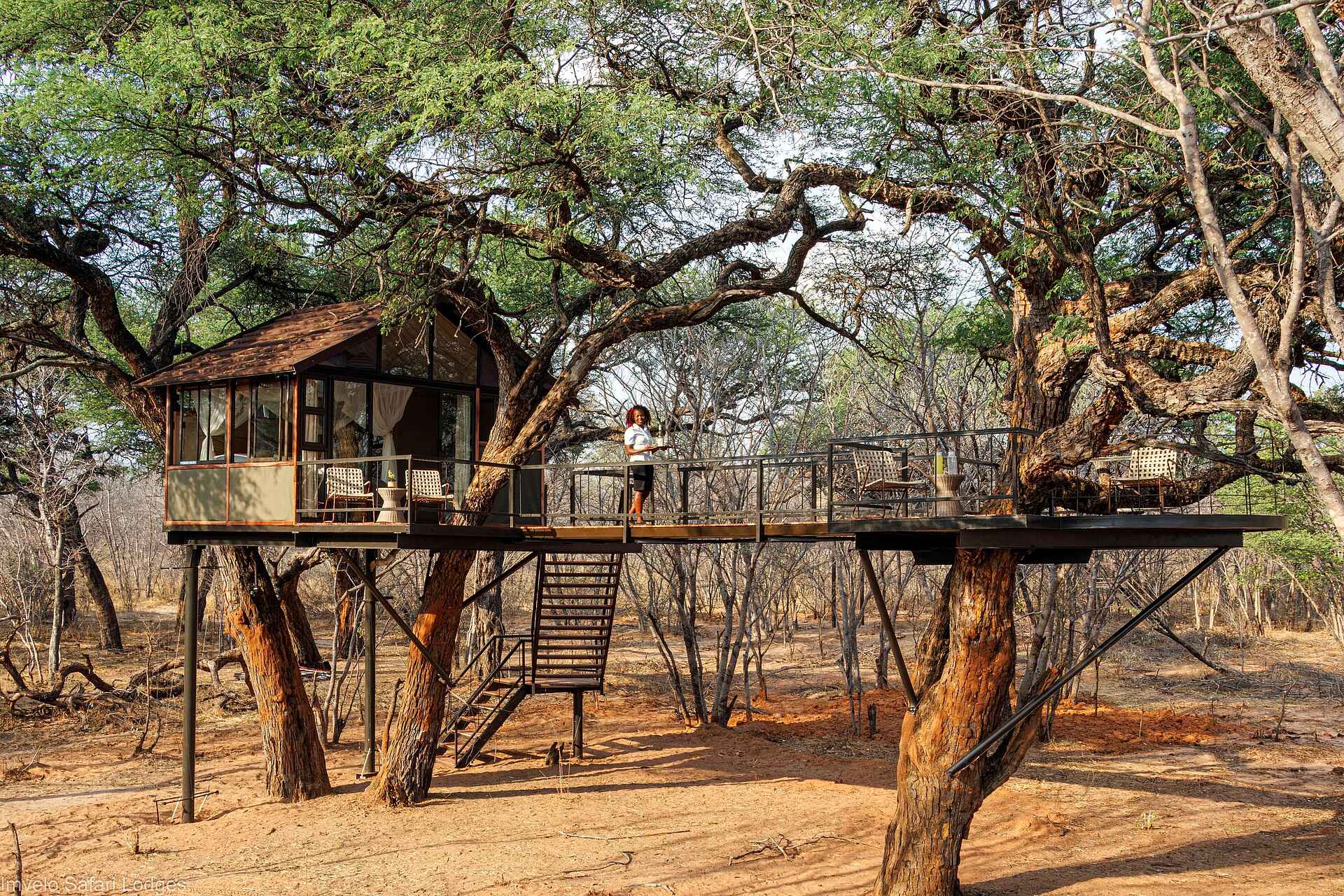 Tum Tum Treehouse Lodge: Ansicht