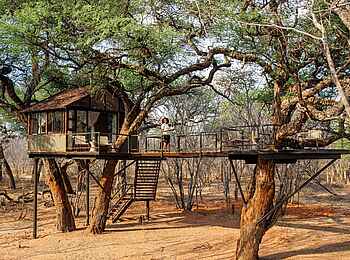 Tum Tum Treehouse Lodge: Ansicht