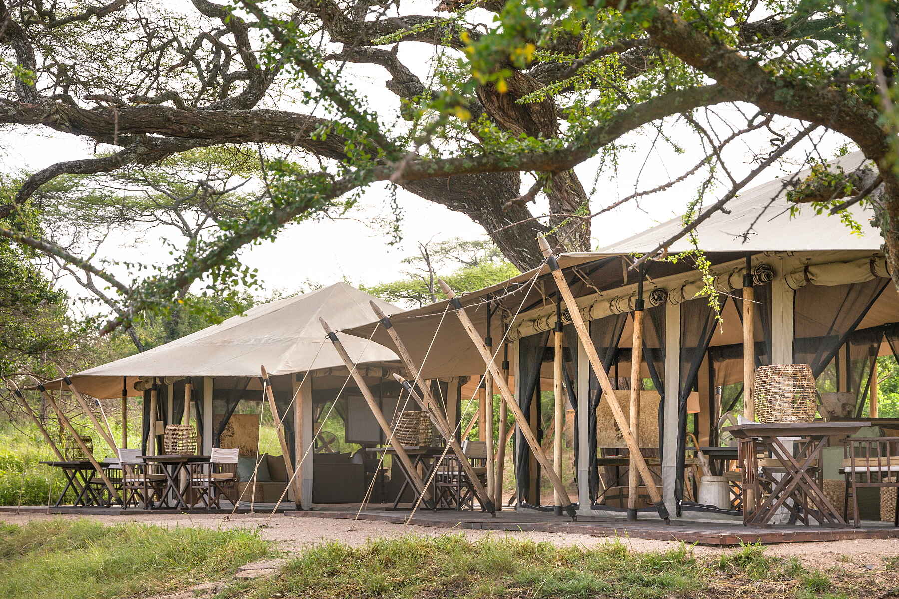Friedkin Conservation Fund, Legendary Mila Tented Camp, Mwiba Wildlife Reserve, Hauptzelt, Lounge, Speisezelt, Afrikarma, Afrikarma Safaris, Afrikarma Safaris - Wildnis. Hautnah., Afrikarma.de