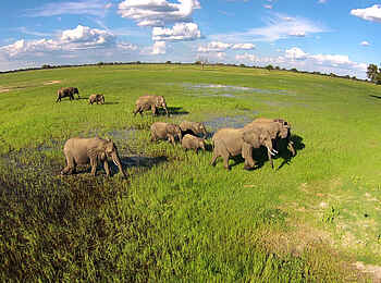 Bomani Tented Lodge: Grüne Regenzeit
