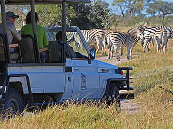 Chobe Game Lodge: Pirschfahrt