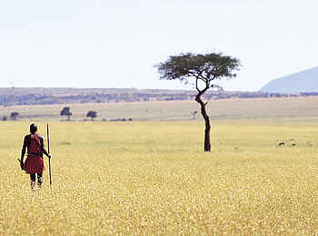 Elephant Pepper Camp: Masai in der Savanne Elephant Pepper Camp: Masai in der Savanne