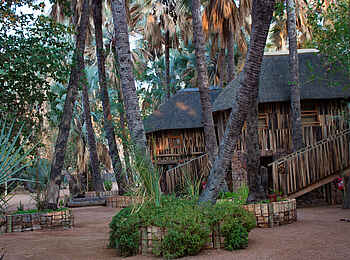 Epupa Falls Lodge: Die Chalets liegen unter schattigen Palmen