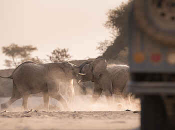 Hoanib Skeleton Coast Camp: Pirschfahrt