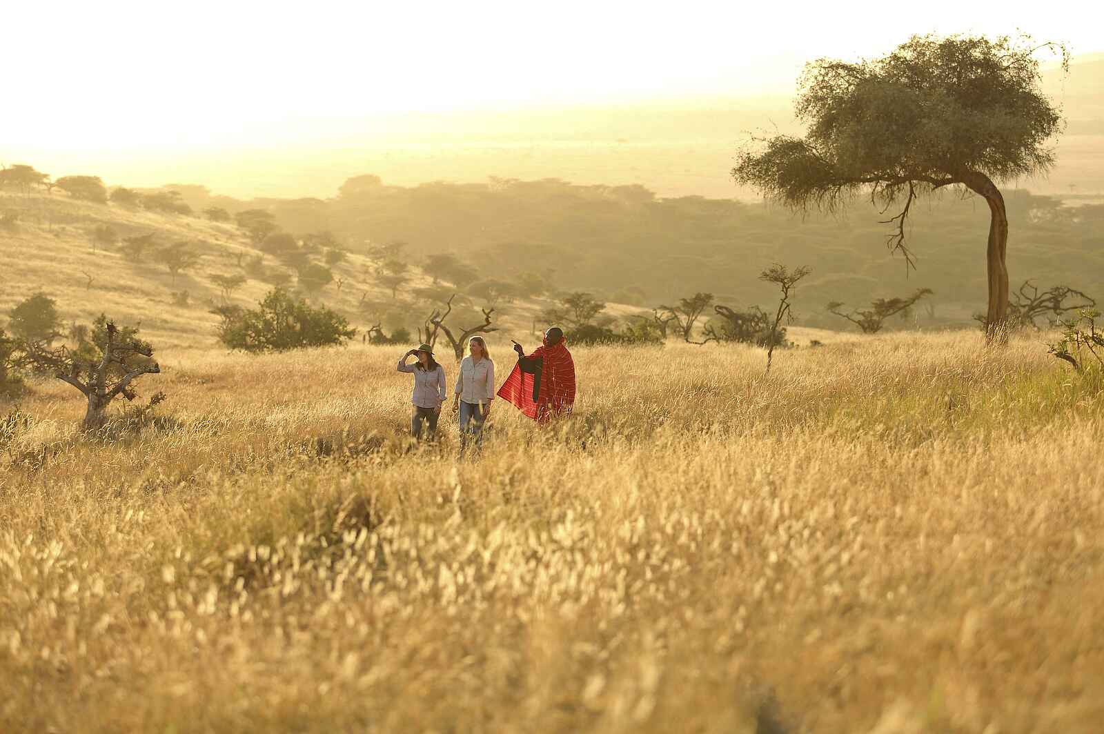 Kifaru House: Wandersafari Kifaru House: Wandersafari