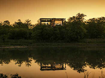 Motswari Game Lodge: Baumhaus in der Dämmerung