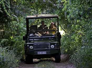 Rocktail Beach Camp: Game Drive
