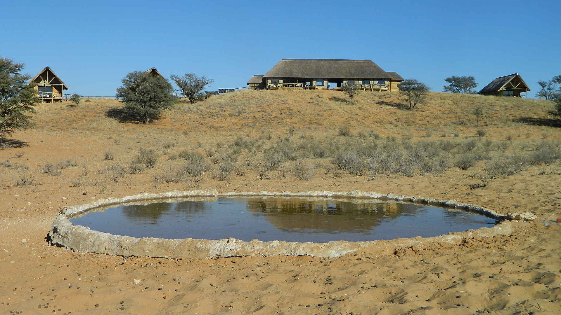 Rooiputs Lodge: Wasserloch Kgalagadi Transfrontier Park, Rooiputs Lodge, ta Shebube, Wasserloch, Afrikarma, Afrikarma Safari - Wildnis. Hautnah., Afrikarma Safaris, Afrikarma.de, Hauptgebäude, Gemsbok National Park