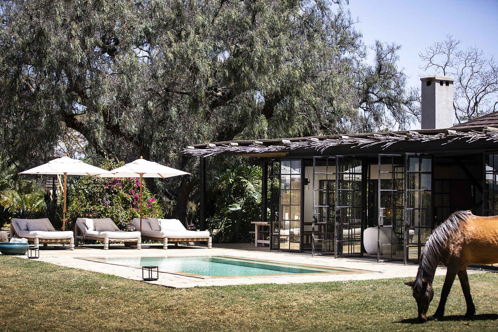 Segera Retreat: Das Farmhouse Segera Retreat: Das Farmhouse