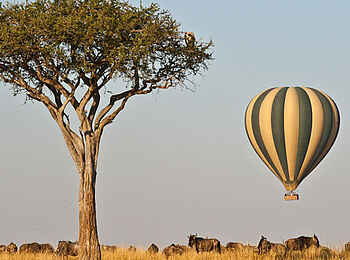 Entim Masai Mara: Ballonfahrt