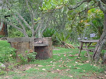 Frog and Fern Cottages: Grillplatz Frog and Fern Cottages: Grillplatz