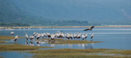 Lake Manyara