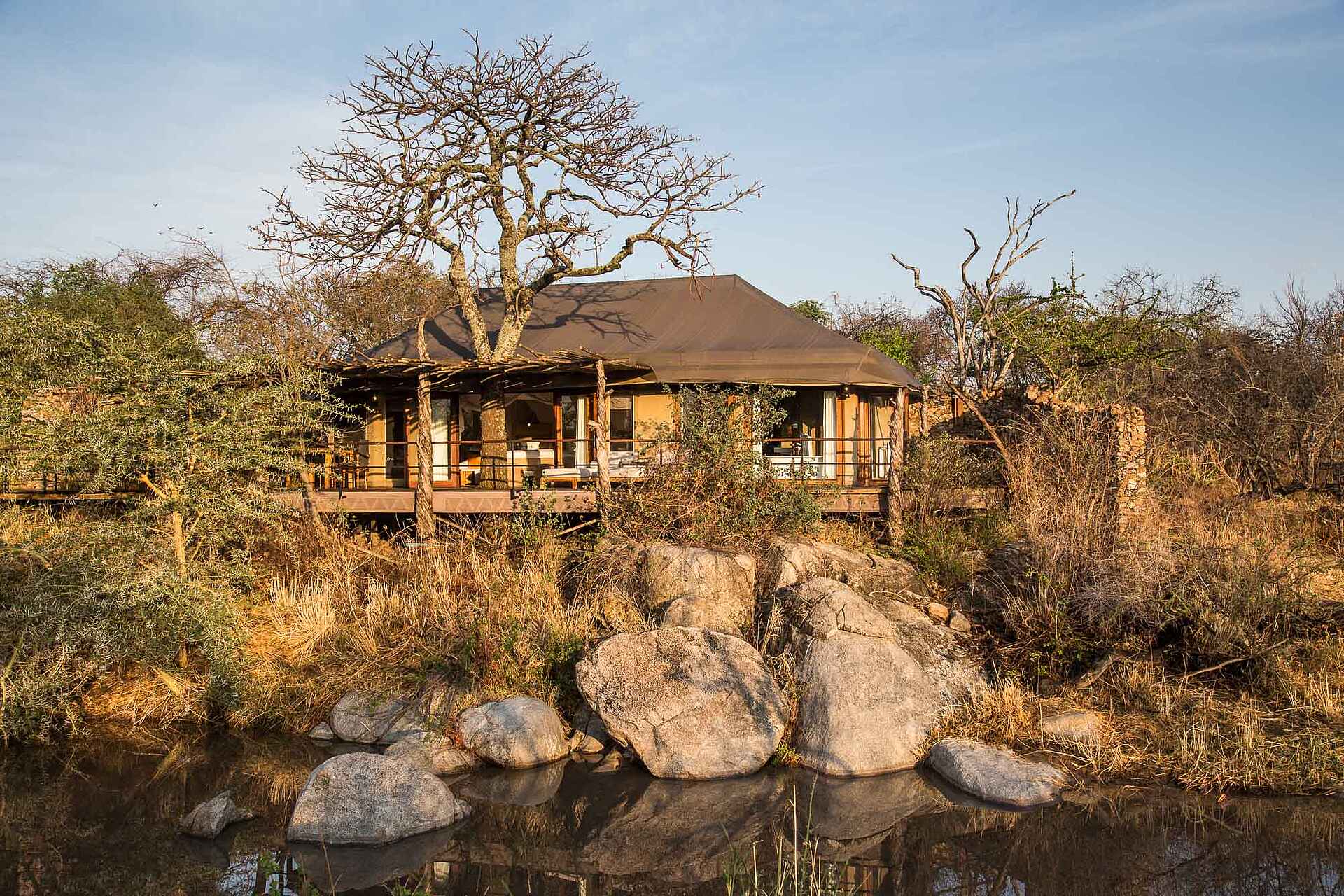 Legendary Expeditions, Maswa, Mwiba, Scott Ramsay, Serengeti, Tanzania, Friedkin Conservation Fund, Legendary Mwiba Lodge, Mwiba Wildlife Reserve, Afrikarma, Afrikarma Safaris, Afrikarma Safaris. Wildnis. Hautnah., Afrikarma.de, Gästeunterkunft, Zeltsuite, Private Veranda