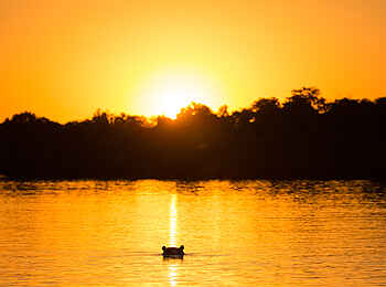 Ntemwa Busanga Bushcamp: Nilpferd und Sonnenuntergang