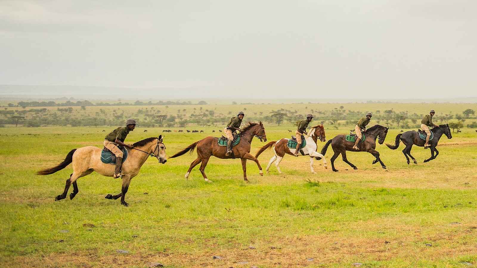 Olare Mara Kempinski: Galopp Olare Mara Kempinski: Galopp