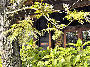 Arusha Coffee Lodge: Von Natur umgeben