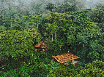 Gorilla Forest Lodge: Eine Villa aus der Vogelperspektive Gorilla Forest Lodge: Eine Villa aus der Vogelperspektive