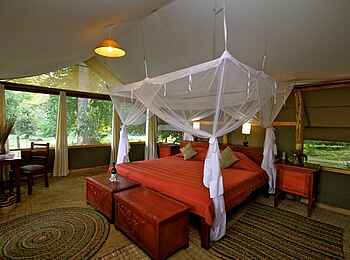Ishasha Wilderness Camp: Schlafzimmer Ishasha Wilderness Camp: Schlafzimmer