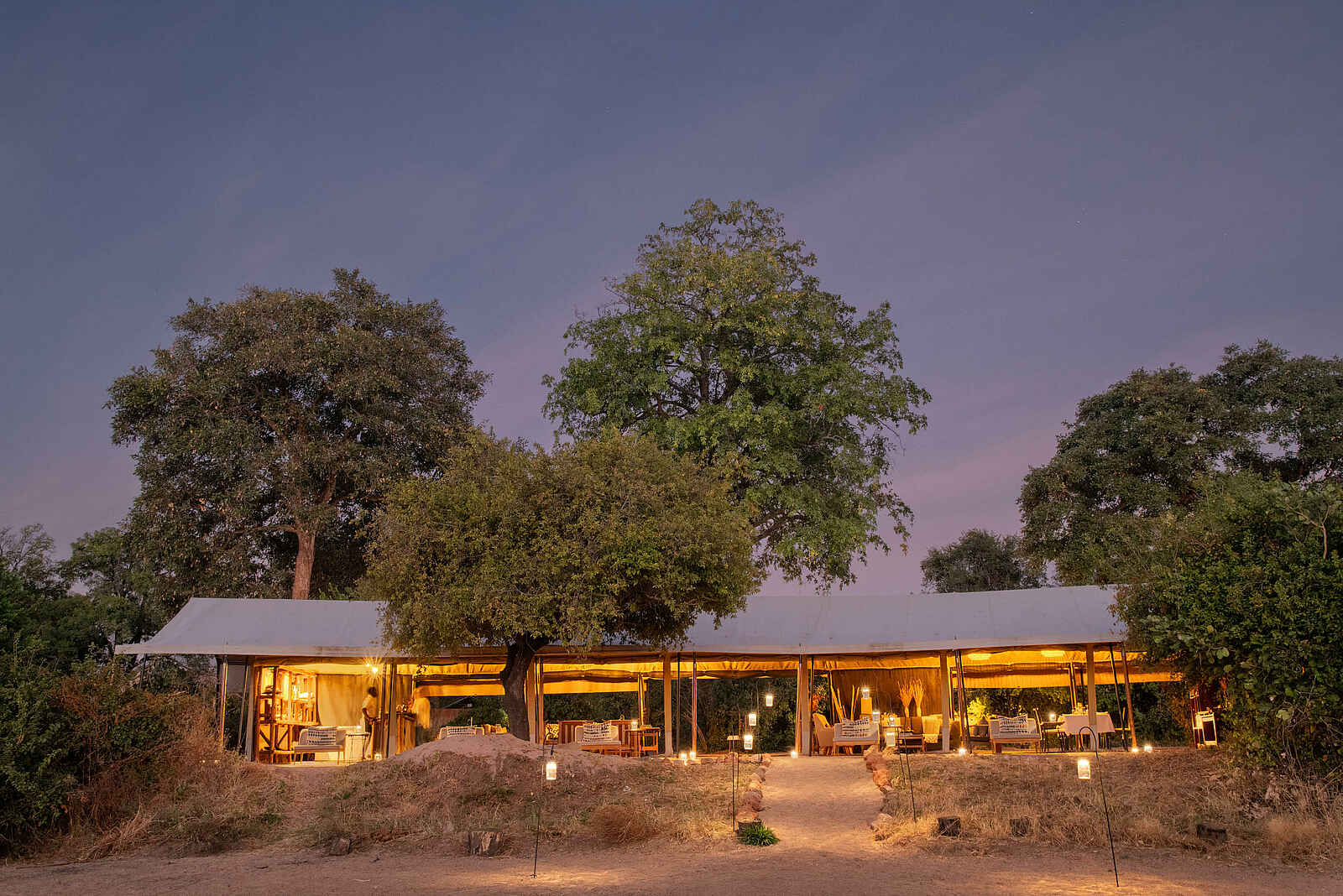 Kokoko Camp: Dämmerung Kokoko Camp: Dämmerung