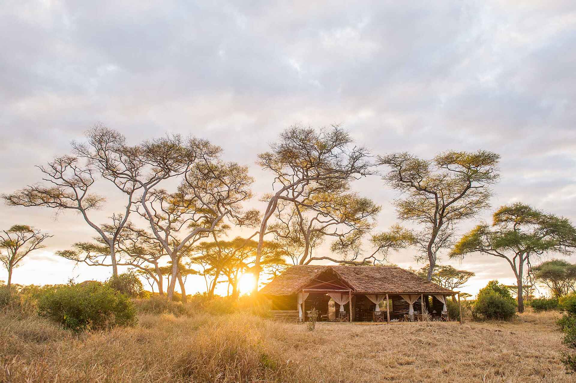 Kuro Tarangire, kuro tarangire camp, main area