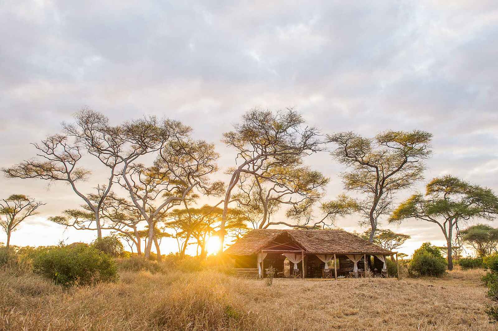 Kuro Tarangire: Gemeinschaftshaus am Morgen Kuro Tarangire: Gemeinschaftshaus am Morgen