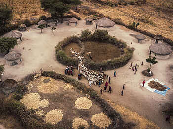 Lemala Mpingo Ridge Lodge: Besuch eines Masai Dorfs Lemala Mpingo Ridge Lodge: Besuch eines Masai Dorfs