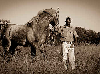 Macatoo Camp: Reitpersonal mit Pferd