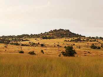 Mkombes House Lamai: Landschaft