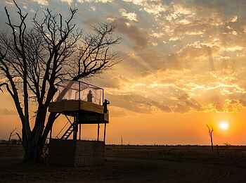 Mwamba Bush Camp: Sonnenuntergang Mwamba Bush Camp: Sonnenuntergang