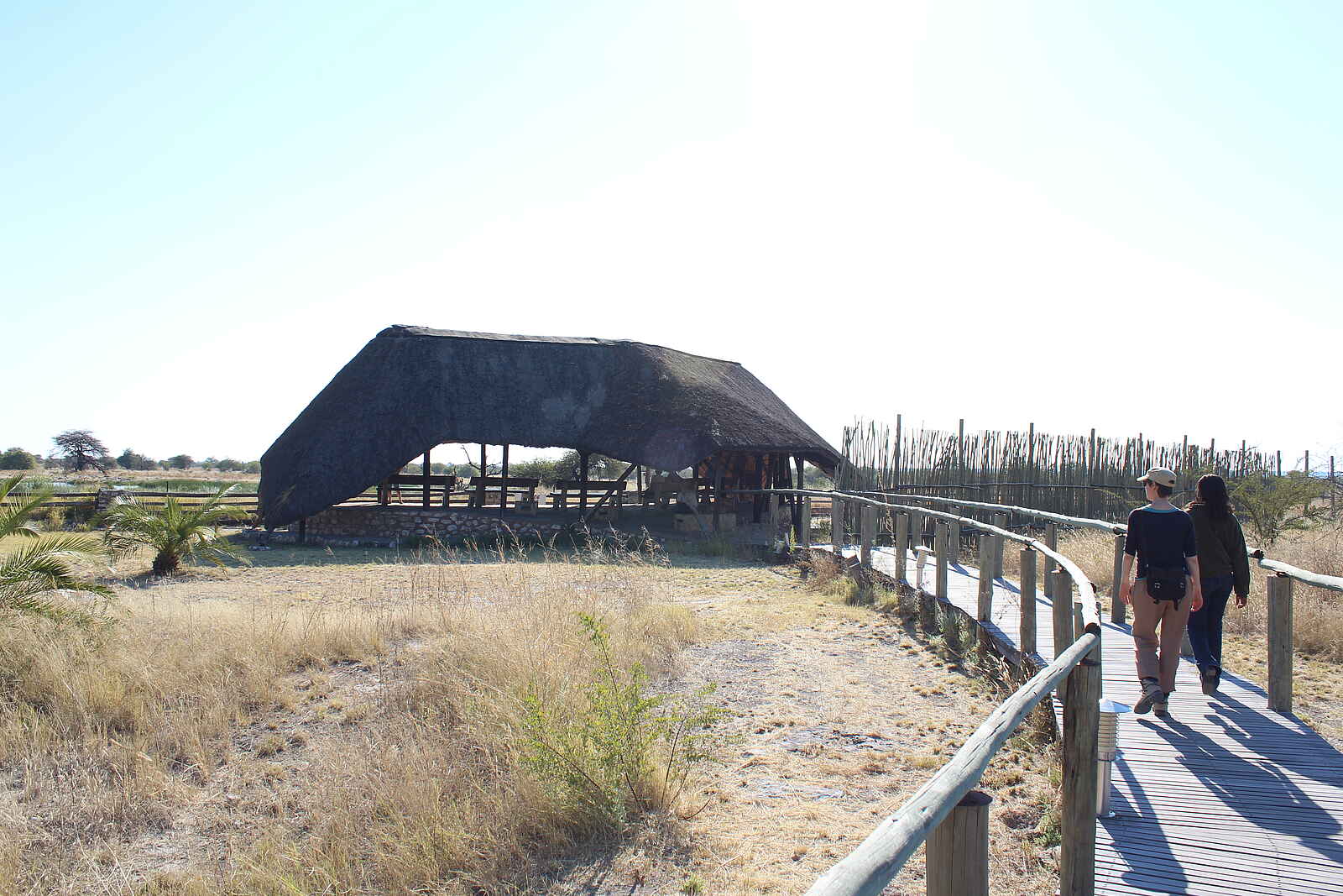 Namutoni Camp: Zum Wasserloch Namutoni Camp: Zum Wasserloch
