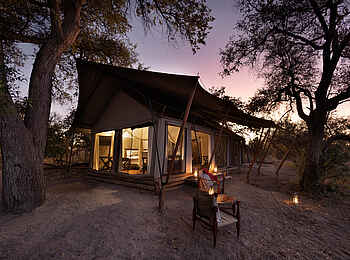 Okavango Explorers Camp: Ein Gästezelt Okavango Explorers Camp: Ein Gästezelt