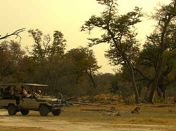 Okuti Camp: Game Drive