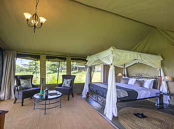 Serengeti Woodlands Camp: Luxury Tent Bett