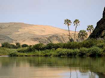 Serra Cafema: Prächtige Makalani-Palmen