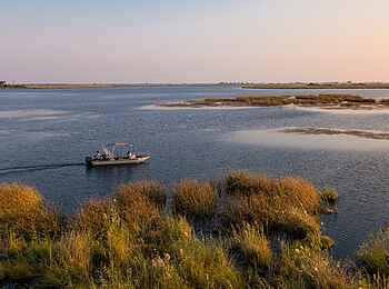 Zarafa Camp: Bootsfahrt im Delta Zarafa Camp: Bootsfahrt im Delta