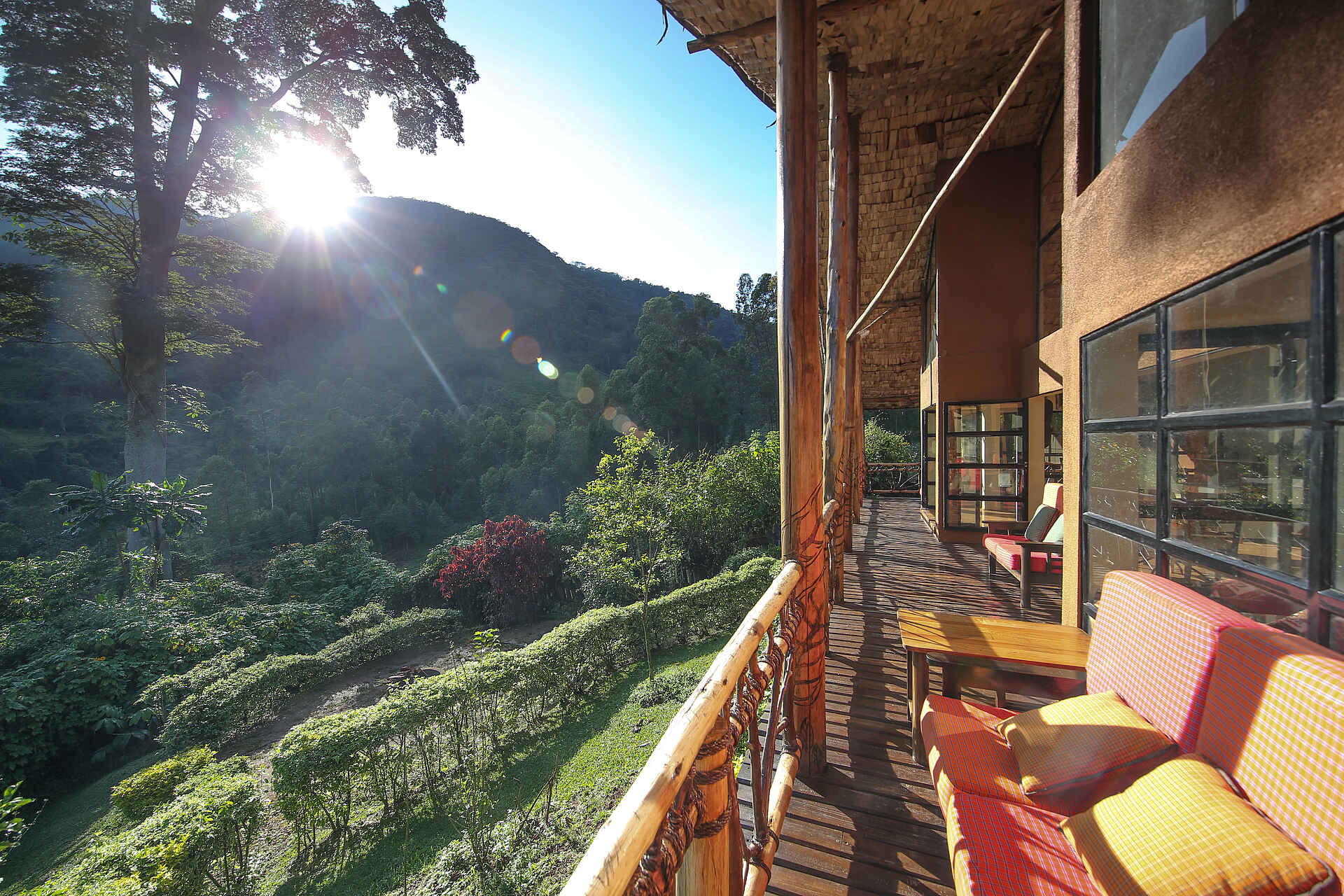 Buhoma, Bwindi Impenetrable Forest National Park, Gorilla beringei, Gorilla Tracking, Mahogany Springs Safari Lodge, Morgensonne, Terrasse, Afrikarma, Afrikarma Safaris, Afrikarma Safaris - Wildnis. Hautnah., Afrikarma.de