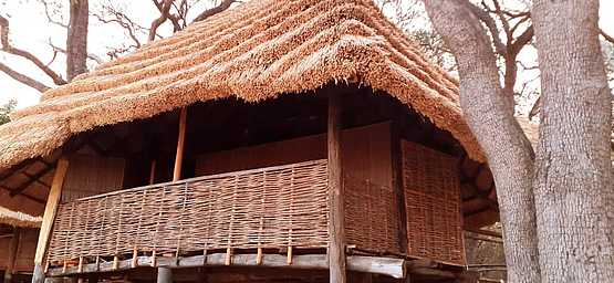 North Luangwa River Lodge and Camp: Gästechalet North Luangwa River Lodge and Camp: Gästechalet