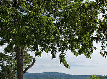 Beho Beho Camp: Poolbereich zum Entspannen
