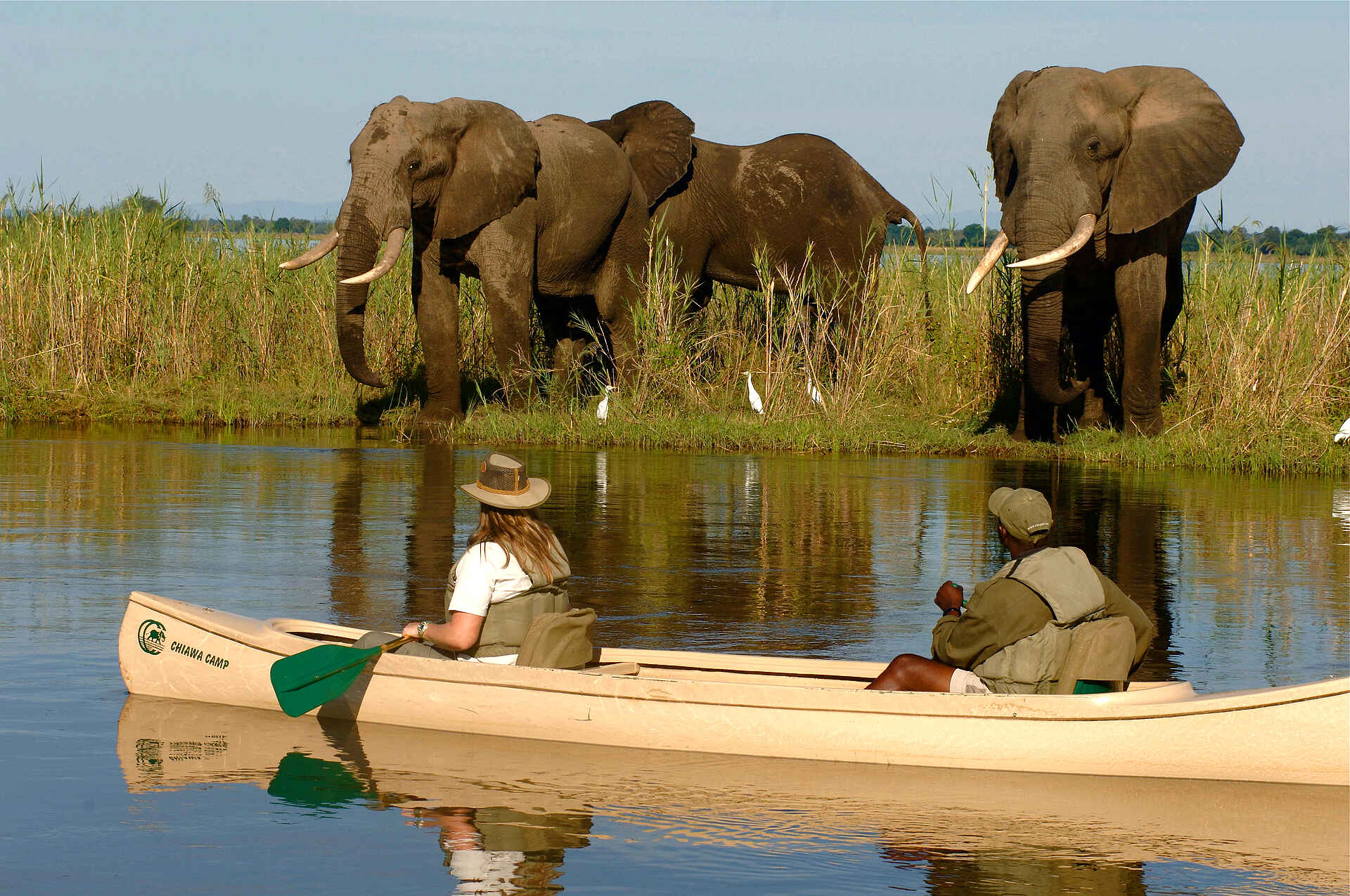 Chiawa Camp, Kanusafari, Lower Zambezi National Park, Sambesi, Sandbank, Walking Safari, Zambezi, Elefanten, Kanu, Unteres Sambesi-Tal