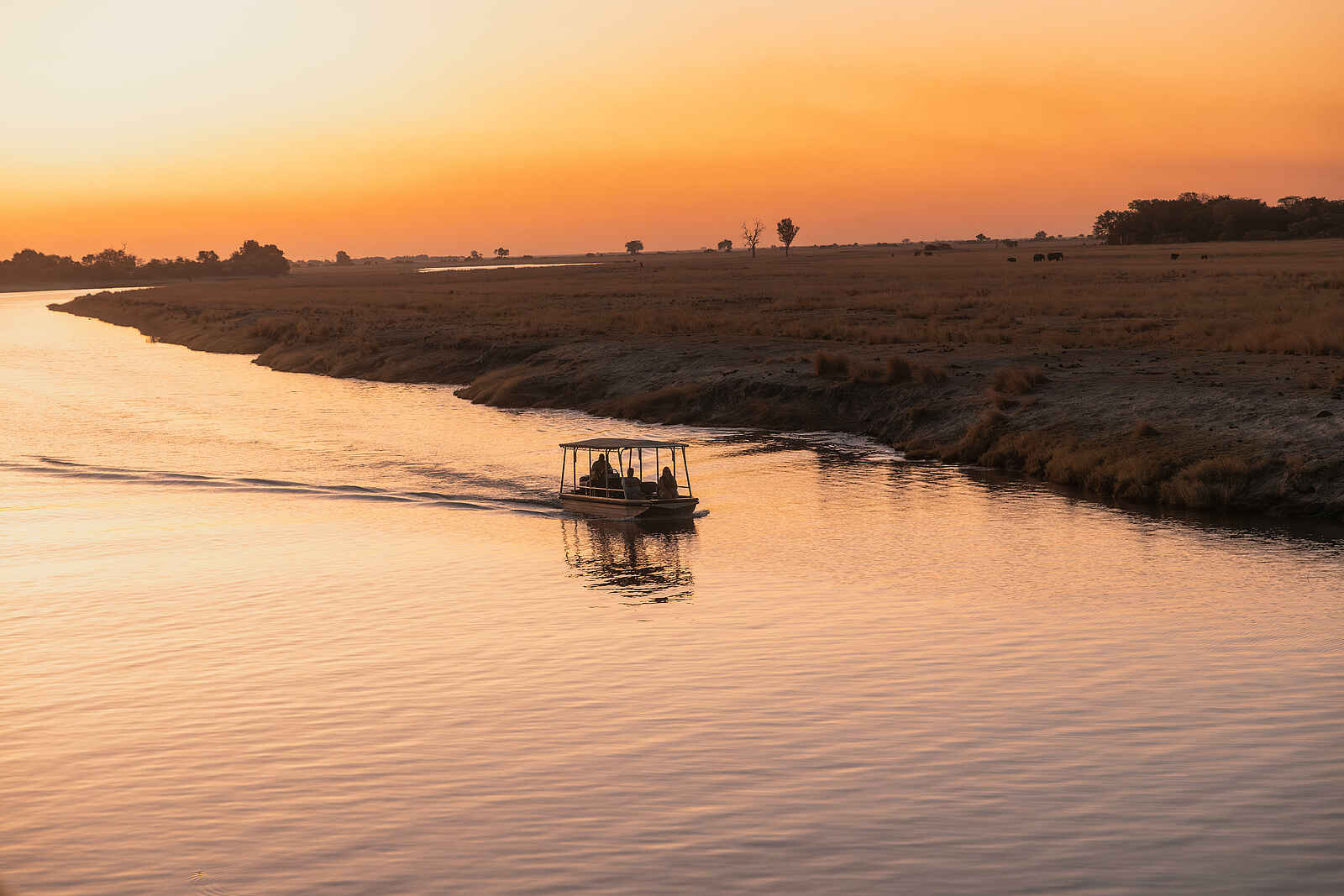 Chobe Princess: Bootsfahrt bei Sonnenuntergang Chobe Princess: Bootsfahrt bei Sonnenuntergang