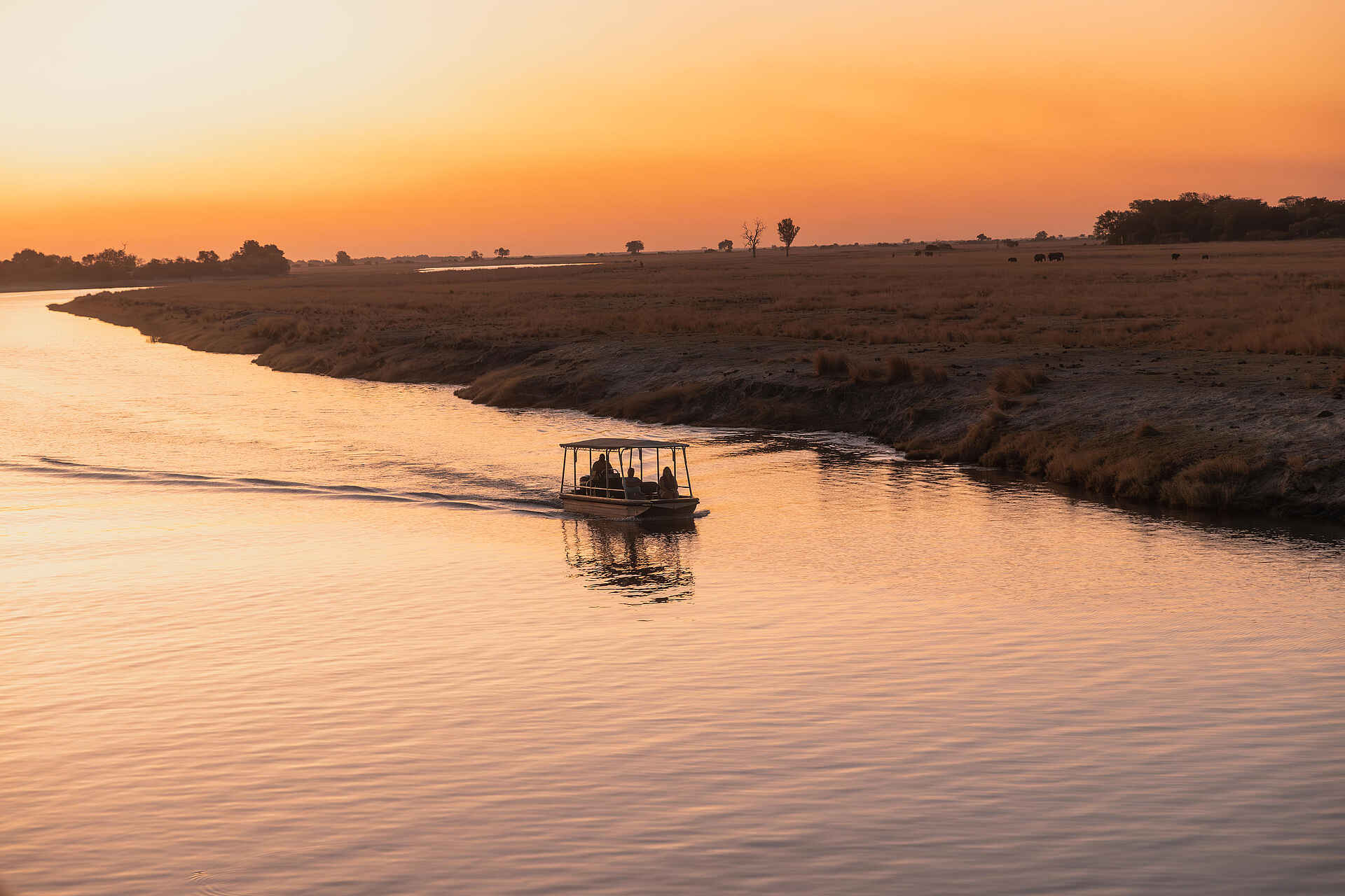 Chobe Princess: Bootsfahrt bei Sonnenuntergang