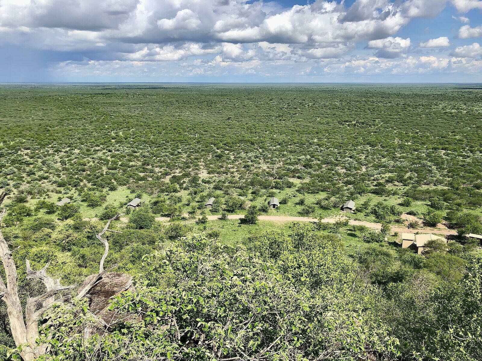 Great Tsau Hill Camp: Blick auf das Camp Great Tsau Hill Camp: Blick auf das Camp
